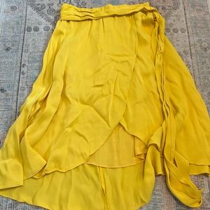 Ann Taylor silk tulip skirt